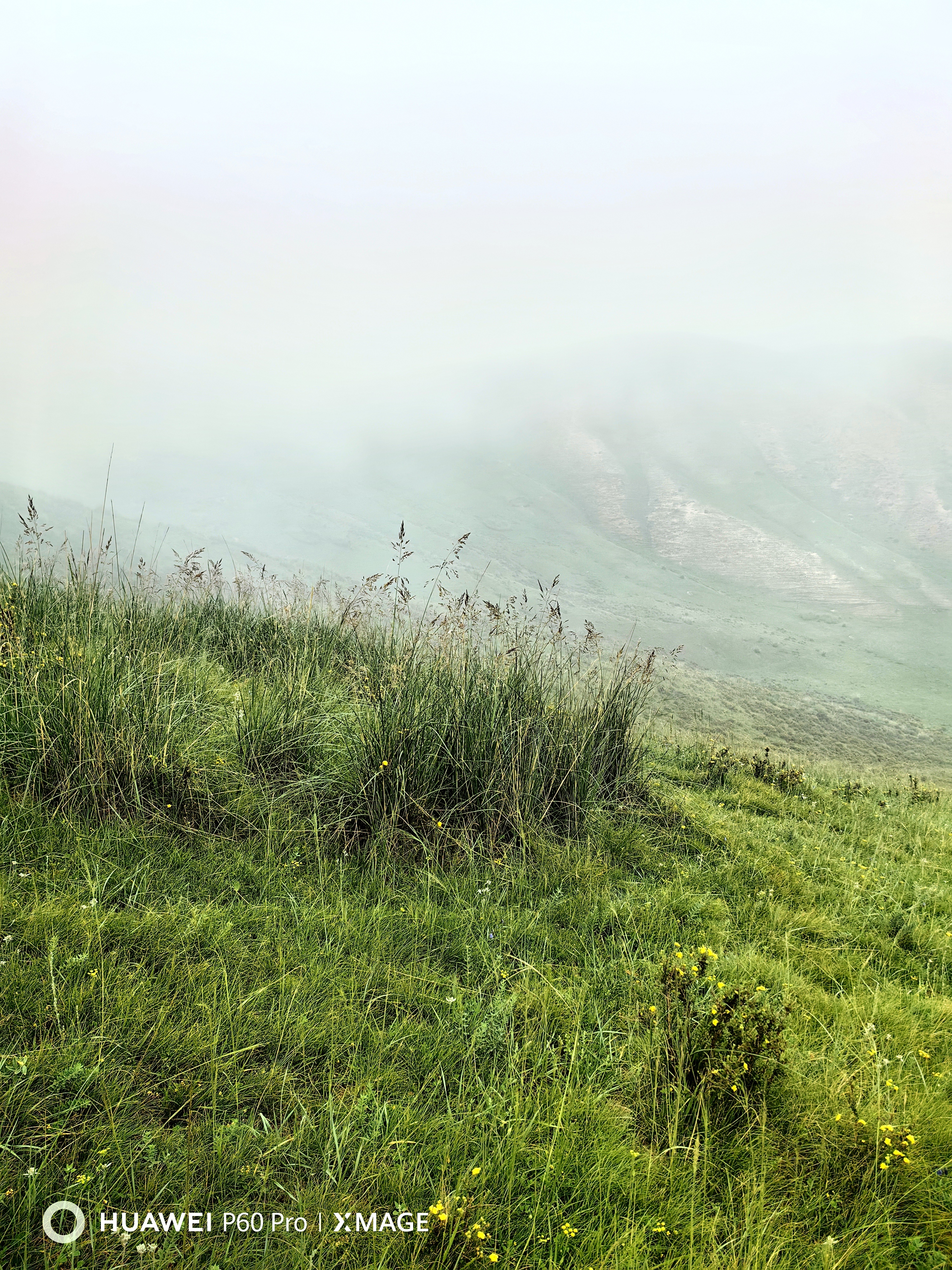 山下阴云密布,而山里已细雨如织,为绵绵起伏的高山草原披上了一层神秘